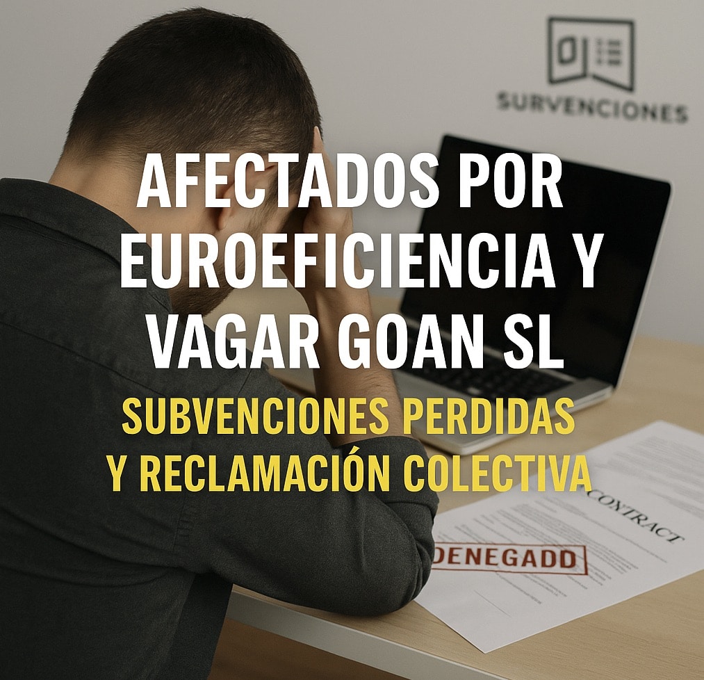 afectados subvencion euroeficiencia y vagar goan sl