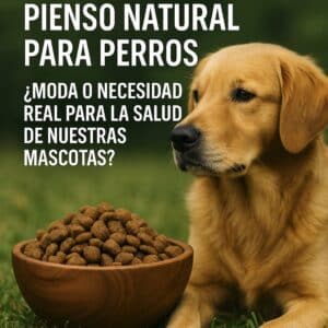 Pienso natural para perros