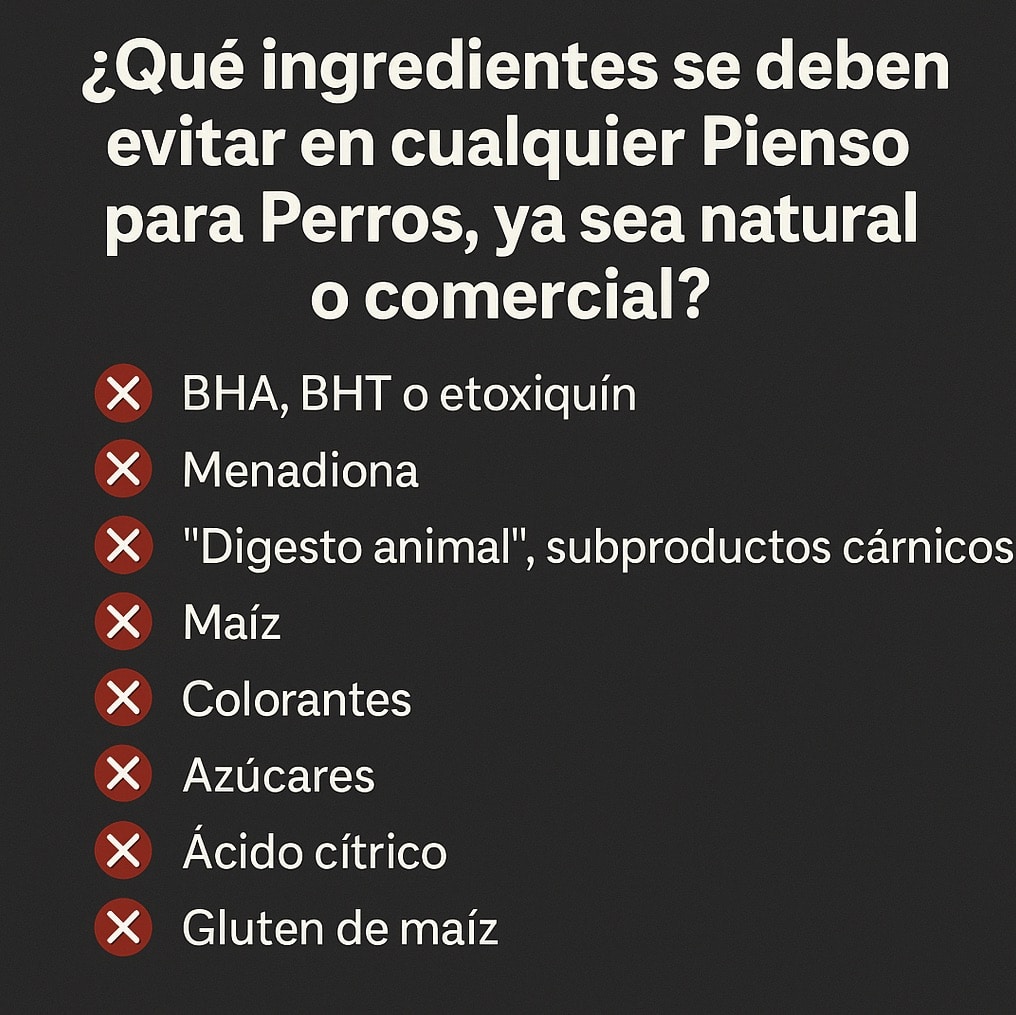 Pienso Natural para Perros