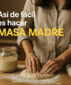 masa madre