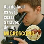 microscopio