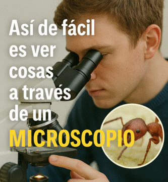 microscopio
