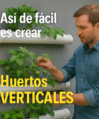 plantar tomates