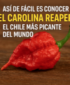 CAROLINA REAPER