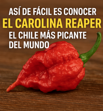 CAROLINA REAPER