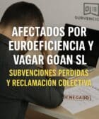 afectados subvencion euroeficiencia y vagar goan sl