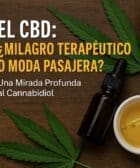 aceites cbd