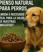 Pienso natural para perros