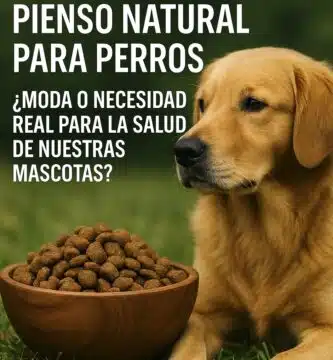 Pienso natural para perros