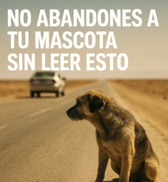 abandonar a tu Mascota