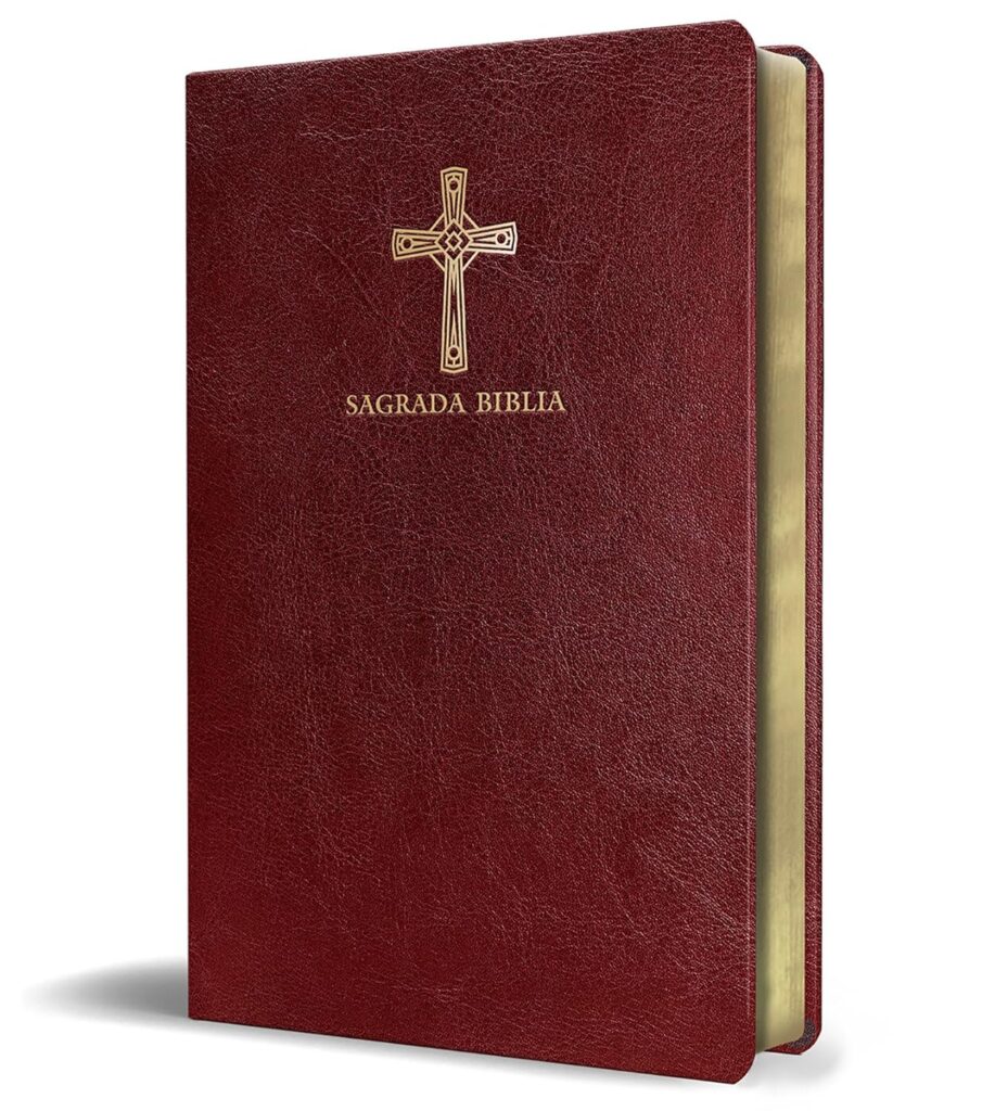 Biblia audiolibro en espa&ntilde;ol &ndash; Audio libro gratis
