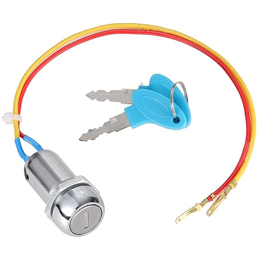 Interruptor de encendido de dos cables Greluma con dos llaves