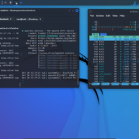 Escritorio de Kali Linux, la distribución que se usa en el curso de hacking ético
