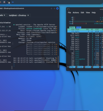 Escritorio de Kali Linux, la distribución que se usa en el curso de hacking ético